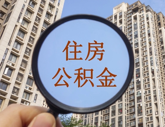 梁山退休后查不到公积金明细了吗（退休后公积金查询不到原因）